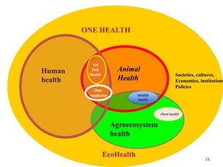 Zoonoses and emerging infectious diseases