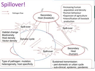 Zoonoses and emerging infectious diseases