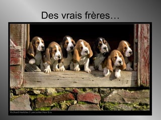 Des vrais frères…