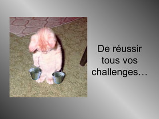 De réussir
tous vos
challenges…