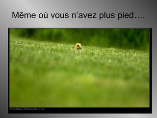 Même où vous n’avez plus pied….