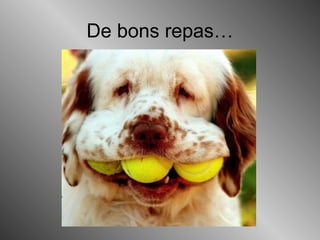 De bons repas…