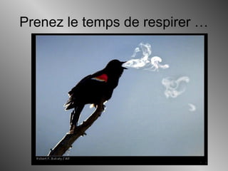 Prenez le temps de respirer …