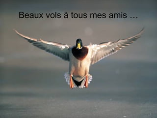 Beaux vols à tous mes amis …