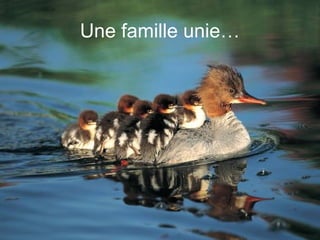 Une famille unie…