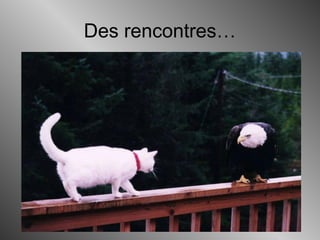 Des rencontres…