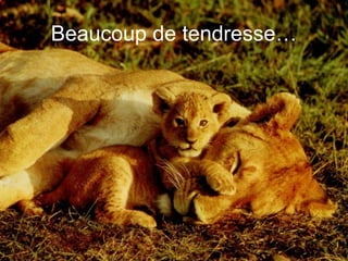 Beaucoup de tendresse…