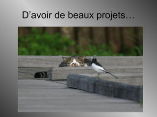 D’avoir de beaux projets…
