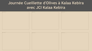 Journée Cueillette d'Olives à Kalaa Kebira
avec JCI Kalaa Kebira
 
