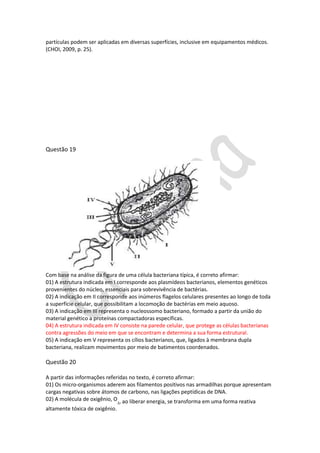 partículas podem ser aplicadas em diversas superfícies, inclusive em equipamentos médicos.
(CHOI, 2009, p. 25).

Questão 19

Com base na análise da figura de uma célula bacteriana típica, é correto afirmar:
01) A estrutura indicada em I corresponde aos plasmídeos bacterianos, elementos genéticos
provenientes do núcleo, essenciais para sobrevivência de bactérias.
02) A indicação em II corresponde aos inúmeros flagelos celulares presentes ao longo de toda
a superfície celular, que possibilitam a locomoção de bactérias em meio aquoso.
03) A indicação em III representa o nucleossomo bacteriano, formado a partir da união do
material genético a proteínas compactadoras específicas.
04) A estrutura indicada em IV consiste na parede celular, que protege as células bacterianas
contra agressões do meio em que se encontram e determina a sua forma estrutural.
05) A indicação em V representa os cílios bacterianos, que, ligados à membrana dupla
bacteriana, realizam movimentos por meio de batimentos coordenados.

Questão 20
A partir das informações referidas no texto, é correto afirmar:
01) Os micro-organismos aderem aos filamentos positivos nas armadilhas porque apresentam
cargas negativas sobre átomos de carbono, nas ligações peptídicas de DNA.
02) A molécula de oxigênio, O , ao liberar energia, se transforma em uma forma reativa
2

altamente tóxica de oxigênio.

 