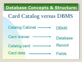 Database Concepts & Structure:Database Concepts & Structure:
 