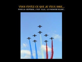 Vous voyez ce que je veux dire…   pour la  repérer , c’est  elle,  le panache blanc . 