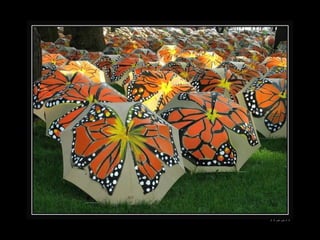 ‫הצצה‬‫הצצה‬
 