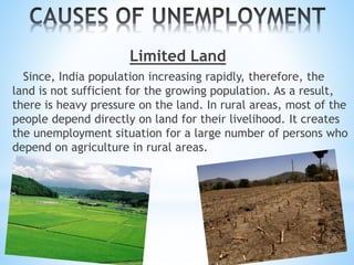 Limited Land
Since, India population increasing rapidly, therefore, the
land is not sufficient for the growing population. As a result,
there is heavy pressure on the land. In rural areas, most of the
people depend directly on land for their livelihood. It creates
the unemployment situation for a large number of persons who
depend on agriculture in rural areas.
 
