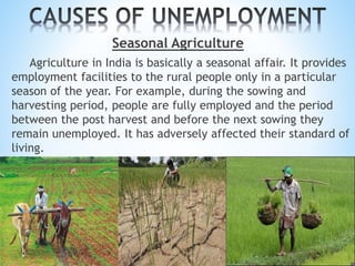 Seasonal Agriculture
Agriculture in India is basically a seasonal affair. It provides
employment facilities to the rural people only in a particular
season of the year. For example, during the sowing and
harvesting period, people are fully employed and the period
between the post harvest and before the next sowing they
remain unemployed. It has adversely affected their standard of
living.
 