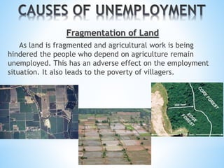Fragmentation of Land
As land is fragmented and agricultural work is being
hindered the people who depend on agriculture remain
unemployed. This has an adverse effect on the employment
situation. It also leads to the poverty of villagers.
 