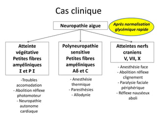 Cas clinique
Atteinte
végétative
Petites fibres
amyéliniques
Σ et P Σ
Polyneuropathie
sensitive
Petites fibres
amyéliniques
Aδ et C
Atteintes nerfs
craniens
V, VII, X
Neuropathie aigue
-Troubles
accomodation
- Abolition réflexe
photomoteur
- Neuropathie
autonome
cardiaque
- Anesthésie
thermique
- Paresthésies
- Allodynie
- Anesthésie face
- Abolition réflexe
clignement
- Paralysie faciale
périphérique
- Réflexe nauséeux
aboli
Après normalisation
glycémique rapide
 
