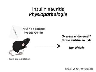 Insulin neuritis
Physiopathologie
Insuline + glucose
hyperglycémie
Rat + streptozotocine
Oxygène endoneural?
flux vasculaire neural?
Non altérés
Kihara, M. Am J Physiol 1994
 