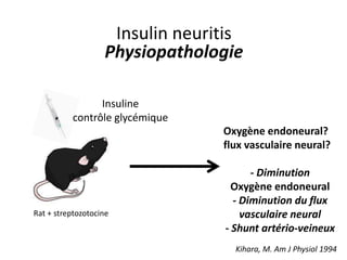 Insulin neuritis
Physiopathologie
Insuline
contrôle glycémique
Rat + streptozotocine
Oxygène endoneural?
flux vasculaire neural?
- Diminution
Oxygène endoneural
- Diminution du flux
vasculaire neural
- Shunt artério-veineux
Kihara, M. Am J Physiol 1994
 