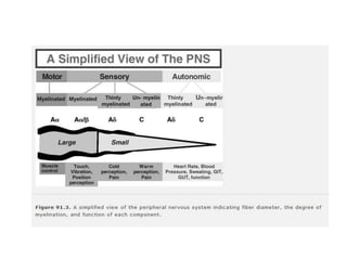 Une neuropathie atypique...