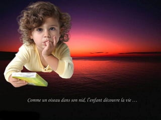 Comme un oiseau dans son nid, l’enfant découvre la vie … 