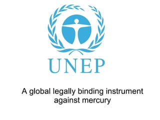 A global legally binding instrument against mercury 