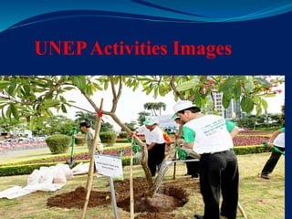 UNEPActivities Images
 