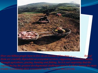 Over one billion people have to live on an income of less than $1 per day. Most of
them are crucially dependent on ecosystem services, supporting themselves mainly
through agriculture, grazing, hunting and fishing. So it is not surprising that the
regions facing the greatest developmental challenges tend to be those having the most
trouble maintaining their ecosystems and the services they provide.
 