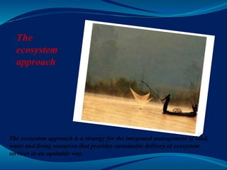 The
ecosystem
approach
The ecosystem approach is a strategy for the integrated management of land,
water and living resources that provides sustainable delivery of ecosystem
services in an equitable way.
 