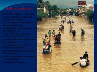 Climate regulation
Ecosystems influence climate both
locally and globally. At the local
scale, changes in land
cover can affect both temperature
and precipitation. At
the global scale, ecosystems play an
important role in
climate either by sequestering
carbon (e.g., in forests,
grasslands and marine ecosystems)
or by emitting
greenhouse gases (e.g., forests
destruction by fire and
melting permafrost). Forests, and
the services they
provide, are particularly vulnerable
to overexploitation
and habitat degradation.
 
