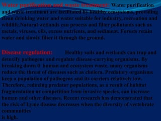 Water purification and waste treatment: Water purification
and waste treatment are facilitated by healthy ecosystems, providing
clean drinking water and water suitable for industry, recreation and
wildlife.Natural wetlands can process and filter pollutants such as
metals, viruses, oils, excess nutrients, and sediment. Forests retain
water and slowly filter it through the ground.
Disease regulation: Healthy soils and wetlands can trap and
detoxify pathogens and regulate disease-carrying organisms. By
breaking down 0 human and ecosystem waste, many organisms
reduce the threat of diseases such as cholera. Predatory organisms
keep a population of pathogens and its carriers relatively low.
Therefore, reducing predator populations, as a result of habitat
fragmentation or competition from invasive species, can increase
human and other diseases. Recent research has demonstrated that
the risk of Lyme disease decreases when the diversity of vertebrate
communities
is high.
 