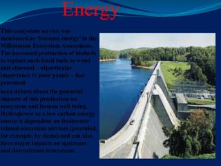 Energy
This ecosystem service was
mentioned as ‘biomass energy’ in the
Millennium Ecosystem Assessment.
The increased production of biofuels
to replace such fossil fuels as wood
and charcoal – ofparticular
importance to poor people – has
provoked
keen debate about the potential
impacts of this production on
ecosystem and human well being.
Hydropower as a low carbon energy
source is dependent on freshwater
related ecosystem services (provided,
for example, by dams) and can also
have major impacts on upstream
and downstream ecosystems.
 