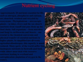 Nutrient cycling
Approximately 20 nutrients essential for life,
such as nitrogen, phosphorus and calcium,
are absorbed, retained and recycled by
ecosystems. Phytoplankton – microscopic
plants – in lakes, rivers and the sea absorb
nutrients from runoff and pass them up the
food chain. Soil organisms – from microbes
and fungi to earthworms and insects – are
crucial to the chemical conversion and
physical transfer of essential nutrients to
higher plants. In simplified low-diversity
agriculturallandscapes, this capacity is much
reduced. Many parts of the world suffer from
inadequate nutrients in theirsoils and food,
while others must deal with excessive
nutrients leading to overload and
eutrophication (depletion of oxygen in the
water).
 