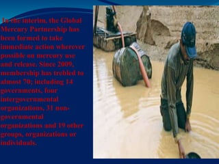 In the interim, the Global
Mercury Partnership has
been formed to take
immediate action wherever
possible on mercury use
and release. Since 2009,
membership has trebled to
almost 70; including 14
governments, four
intergovernmental
organizations, 31 non-
governmental
organizations and 19 other
groups, organizations or
individuals.
 