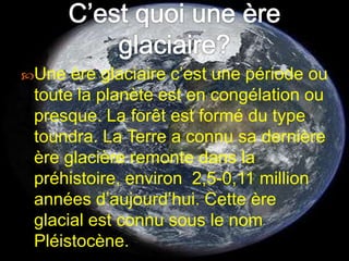 C’est quoi une ère glaciaire? Une ère glaciaire c’est une période ou toute la planète est en congélation ou presque. La forêt est formé du type toundra. La Terre a connu sa dernière ère glacière remonte dans la préhistoire, environ  2,5-0,11 million années d’aujourd’hui. Cette ère glacial est connu sous le nom Pléistocène. 