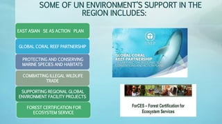 SOME OF UN ENVIRONMENT’S SUPPORT IN THE
REGION INCLUDES:
EAST ASIAN SE AS ACTION PLAN
GLOBAL CORAL REEF PARTNERSHIP
PROTECTING AND CONSERVING
MARINE SPECIES AND HABITATS
COMBATTING ILLEGAL WILDLIFE
TRADE
SUPPORTING REGIONAL GLOBAL
ENVIRONMENT FACILITY PROJECTS
FOREST CERTIFICATION FOR
ECOSYSTEM SERVICE
 