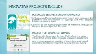 INNOVATIVE PROJECTS INCLUDE:
• DUGONG AND SEAGRASS CONSERVATION PROJECT
The Dugong and Seagrass Conservation Project aims to improve the
protection and conservation of dugongs and their seagrass
habitats around the world
It focuses on the dugong range states of: Indonesia, Madagascar,
Malaysia, Mozambique and Sri Lanka.
• PROJECT FOR ECOSYSTEM SERVICES
• The Project for Ecosystem Services (ProEcoServ) is a global
initiative that aims to better integrate ecosystem assessment
• Also promote economic valuation of ecosystem services and
national sustainable development planning and law making
 