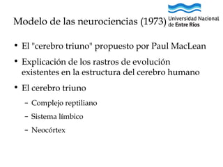 Modelo de las neurociencias (1973)
• El "cerebro triuno" propuesto por Paul MacLean 
• Explicación de los rastros de evolución
existentes en la estructura del cerebro humano
• El cerebro triuno
– Complejo reptiliano
– Sistema límbico
– Neocórtex

 