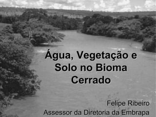 Água, Vegetação e
 Solo no Bioma
    Cerrado

                    Felipe Ribeiro
Assessor da Diretoria da Embrapa
