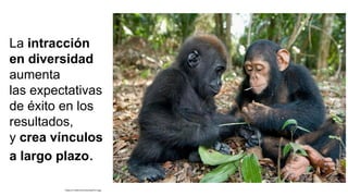 La intracción
en diversidad
aumenta
las expectativas
de éxito en los
resultados,
y crea vínculos
a largo plazo.
https://i.redd.it/xl2v2zu9yam51.jpg
 