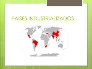 PAISES INDUSTRIALIZADOS 
 