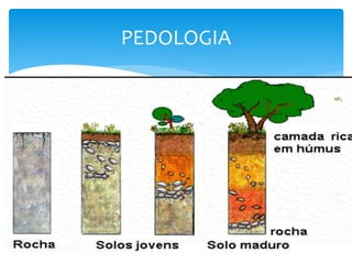 PEDOLOGIA
 