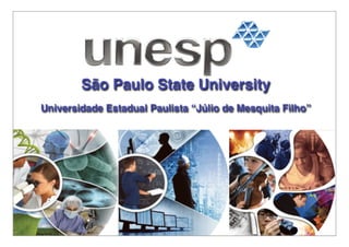São Paulo State University
Universidade Estadual Paulista “Júlio de Mesquita Filho”
 