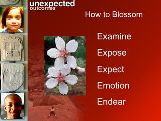 Examine Expose Expect Emotion Endear How to Blossom 