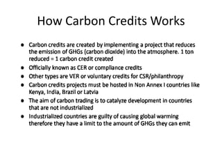 How Carbon Credits Works
 