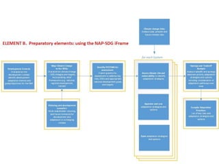 UNFCCC Overview of Process to Formulate and Implement NAPs - National Adaptation Plans under the UNFCCC Process - Webinar
