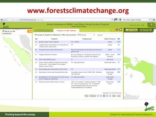 www.forestsclimatechange.org 