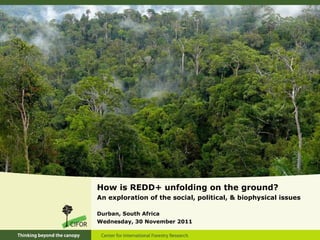 <ul><li>How is REDD+ unfolding on the ground? </li></ul><ul><li>An exploration of the social, political, & biophysical iss...