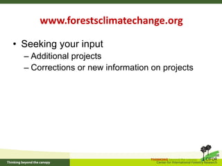 How is REDD+ unfolding on the ground?