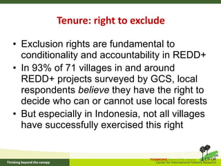 How is REDD+ unfolding on the ground?